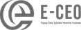 E-CEO