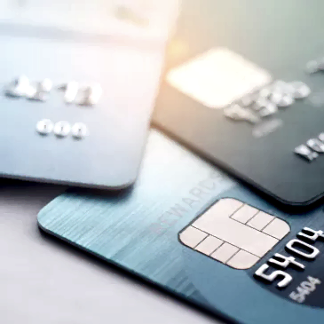 Banka Hesap Numaralari